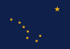 A flag with yellow stars

Description automatically generated